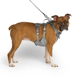 Max Chill Cooling Harness for Dogs