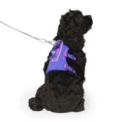 Max Chill Cooling Harness for Dogs
