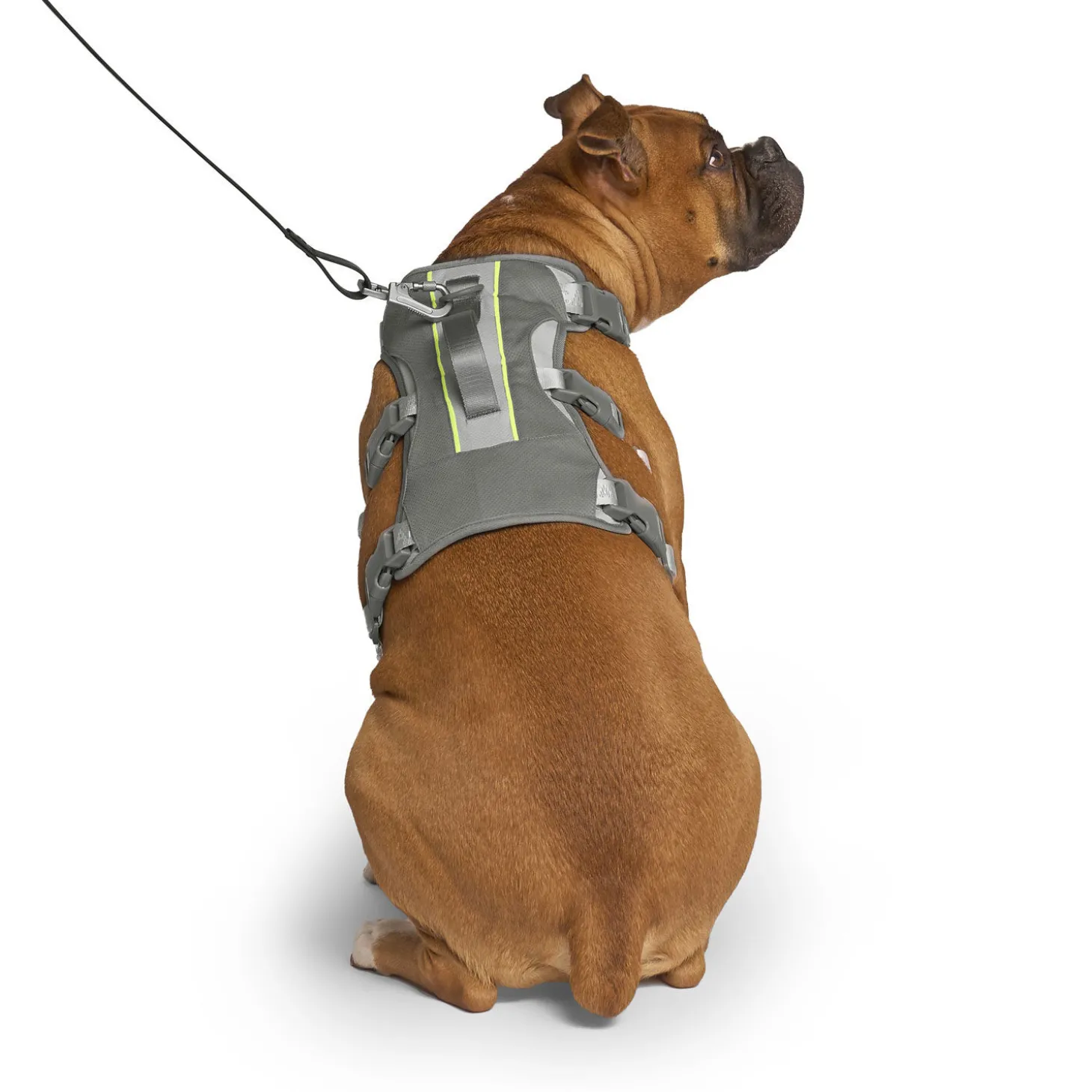 Max Chill Cooling Harness for Dogs