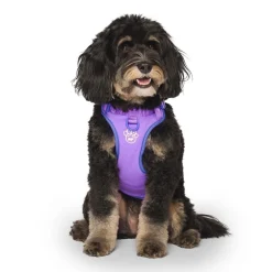 Max Chill Cooling Harness for Dogs
