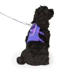 Max Chill Cooling Harness for Dogs