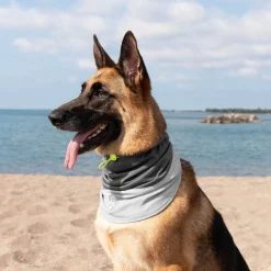 Max Chill Cooling Snood for Dogs