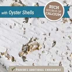 Mineral Block with Oyster Shells