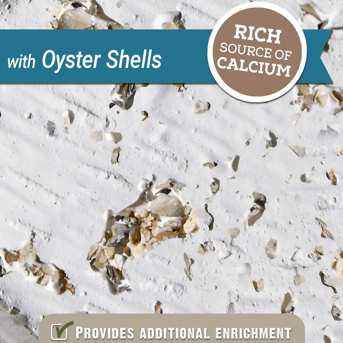 Mineral Block with Oyster Shells