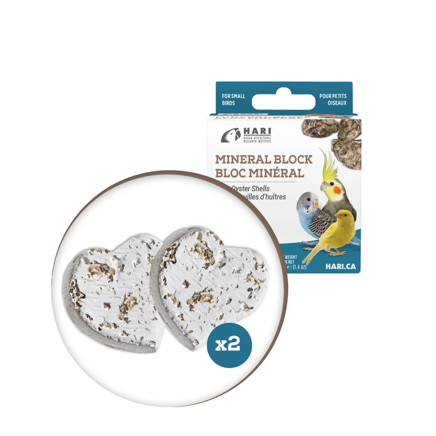 Mineral Block with Oyster Shells