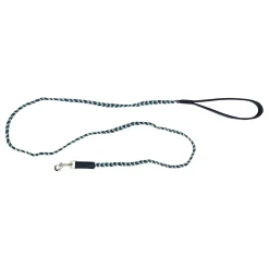 Mini Braided Leash for Dogs, Blue