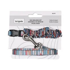 Mini Nylon Collar and Leash Set for Dogs