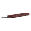 Mini Nylon Leash for Dogs, Dusty Pink