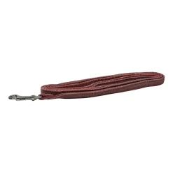 Mini Nylon Leash for Dogs, Dusty Pink