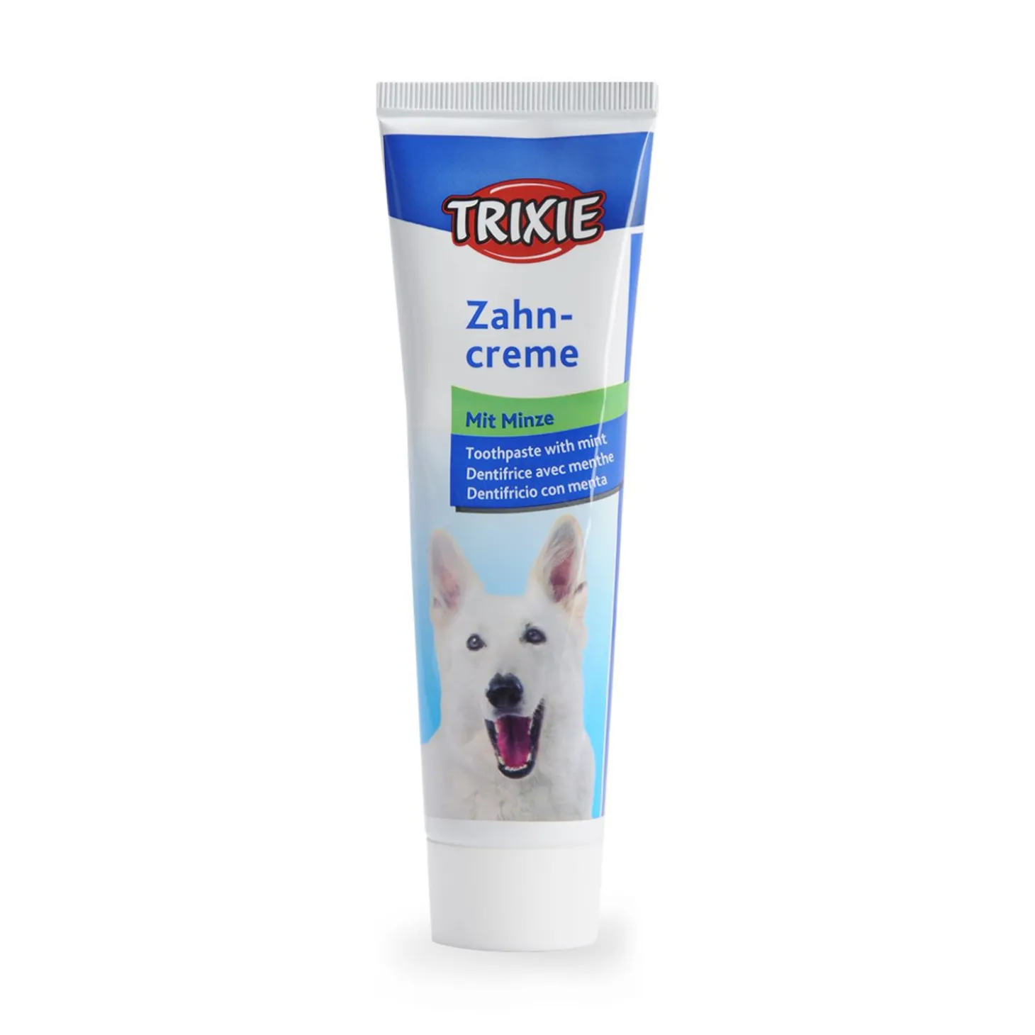 Mint toothpaste for dog 100g