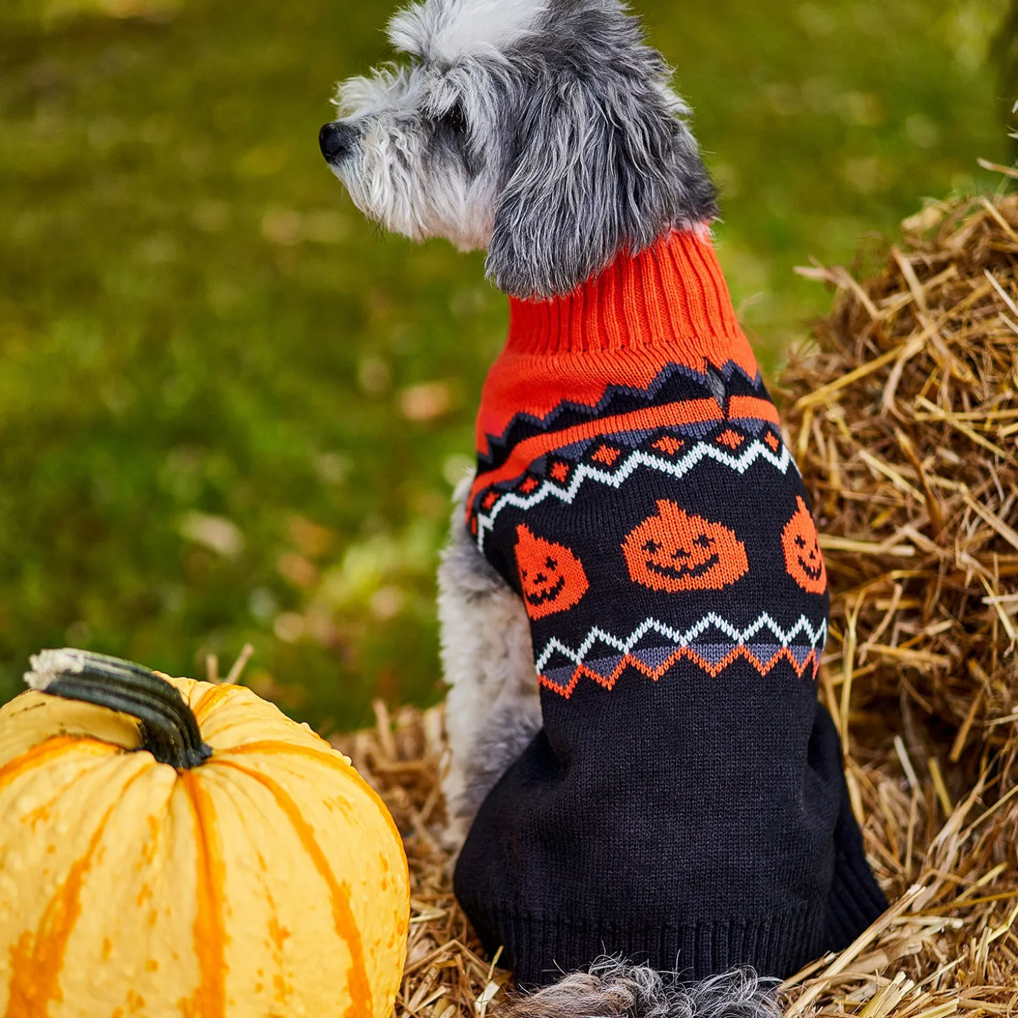 Mockneck Sweater with Jacquard Design for Dogs