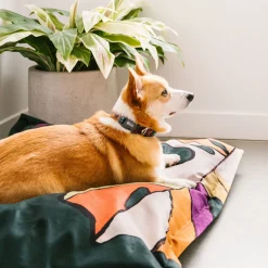 Monstera Cloud Pillow Cover