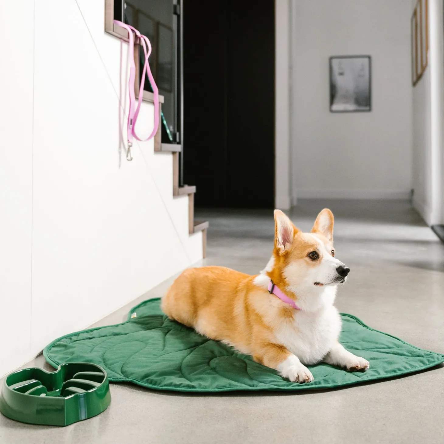 Monstera Slow Feeder for Dogs
