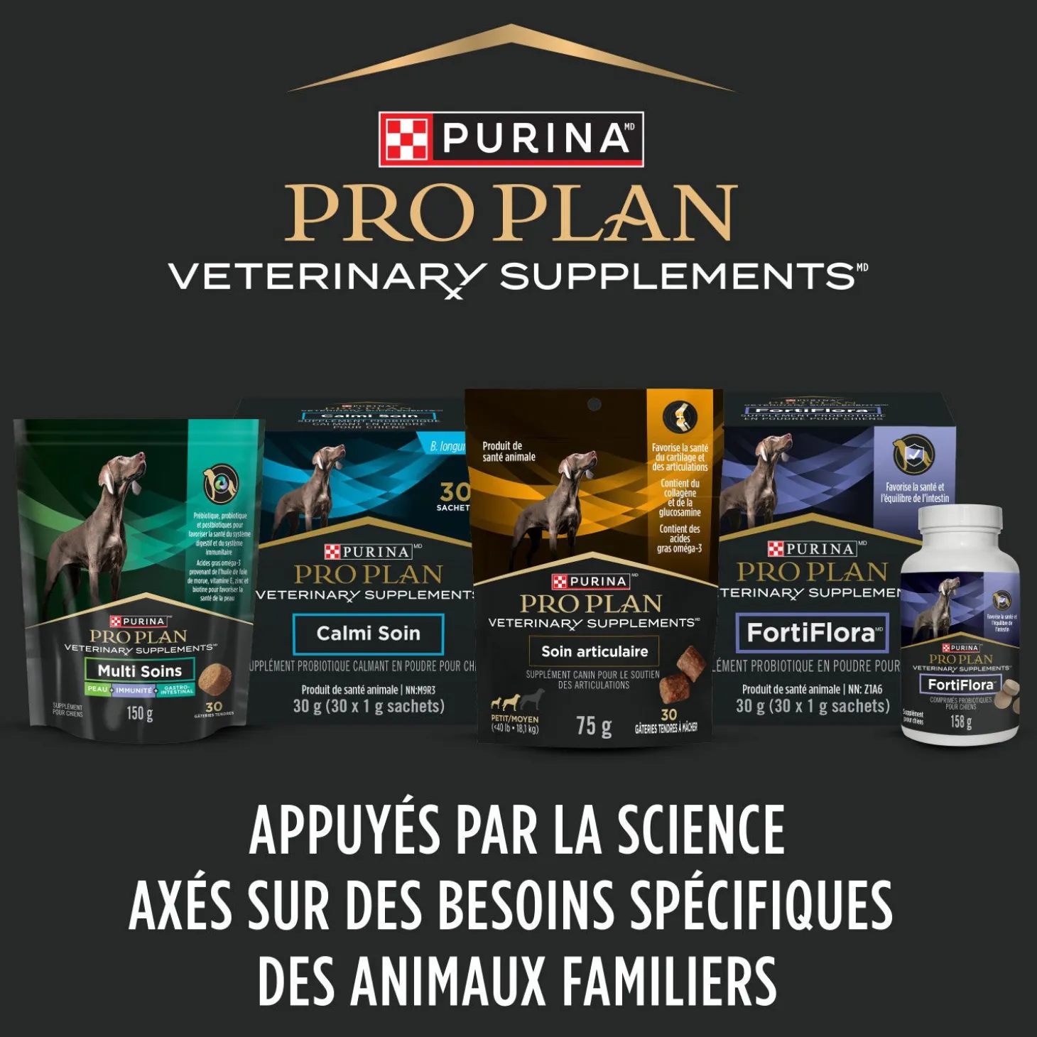 Multi Care Canine Supplements, 300 g