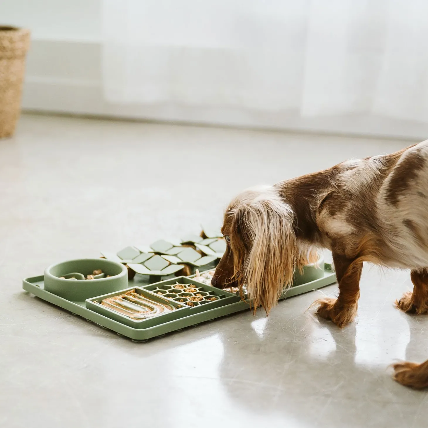 Multi Textured Slow Feeder