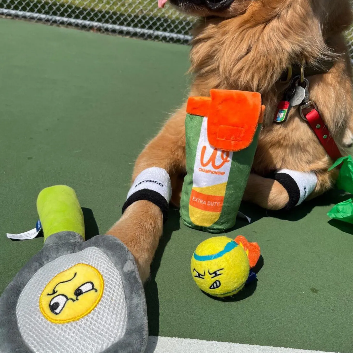 Nadal’s Racket