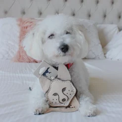 Natural Leather Fox Dog Toy