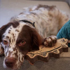 Natural Leather Trout Dog Tug Toy