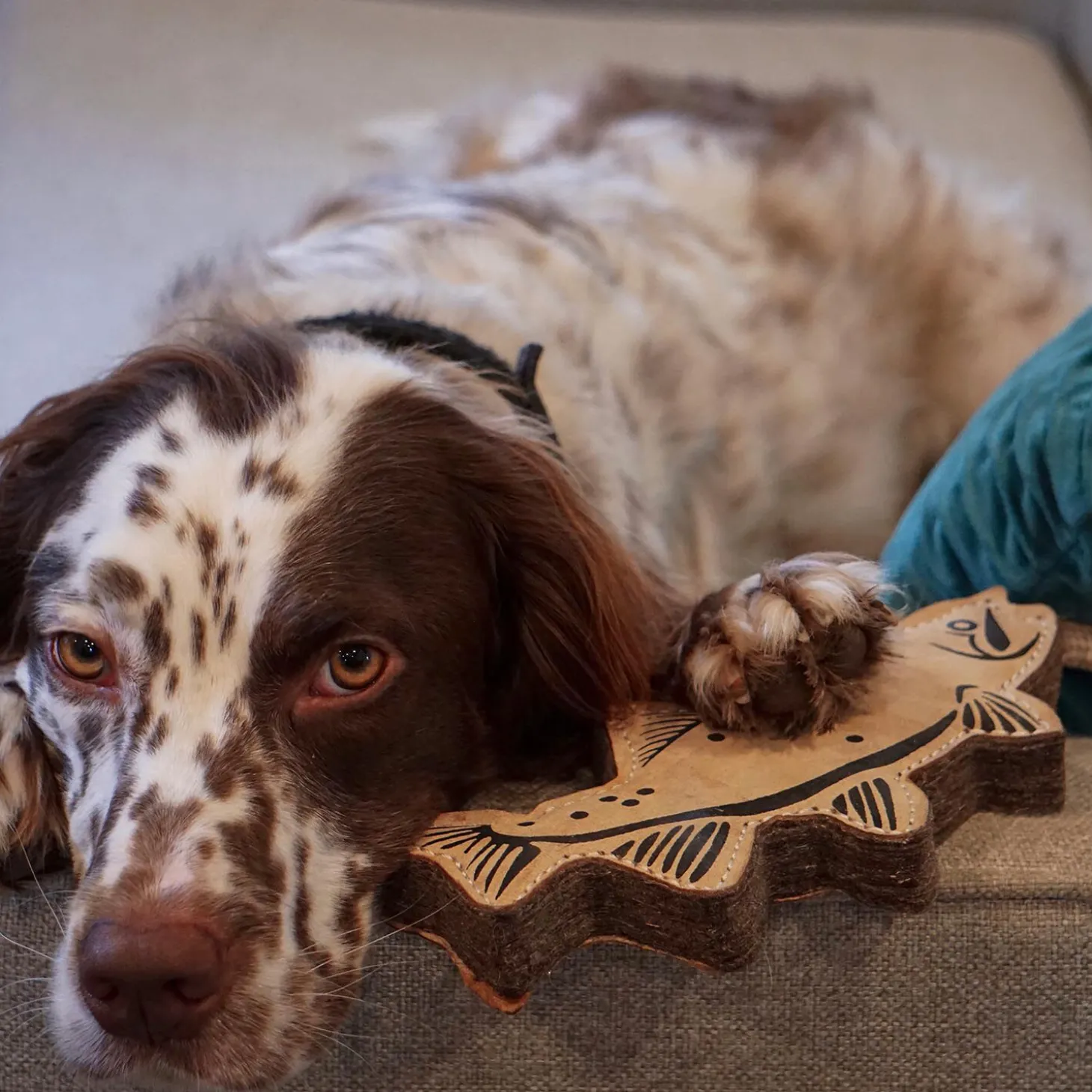 Natural Leather Trout Dog Tug Toy