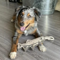 Natural Leather Trout Dog Tug Toy