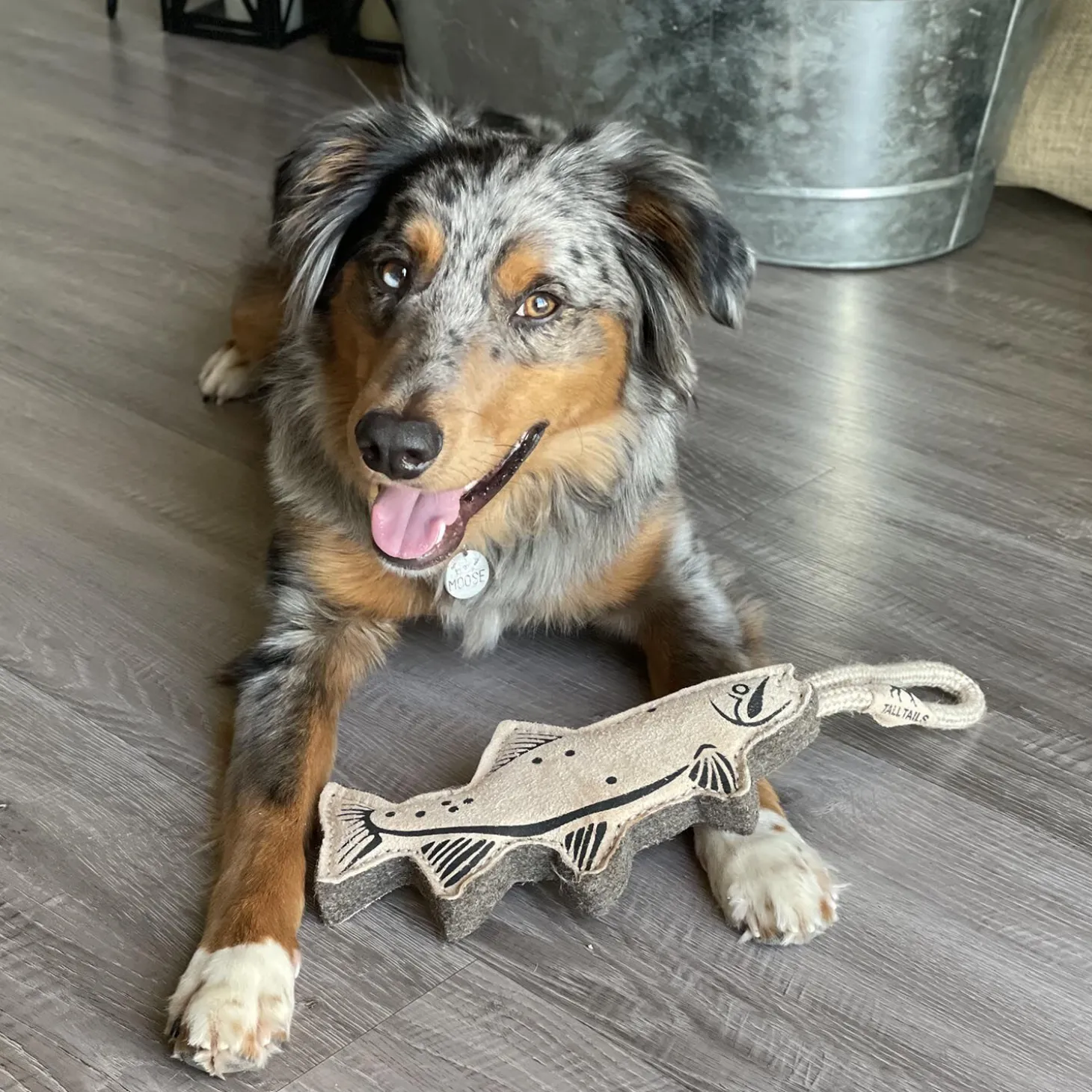 Natural Leather Trout Dog Tug Toy