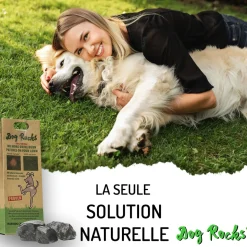 Natural rocks for water bowl