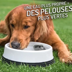 Natural rocks for water bowl