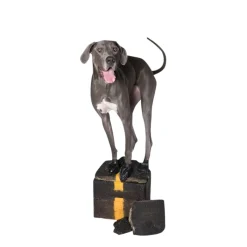 Natural Rubber Waterproof Dog Boots, M