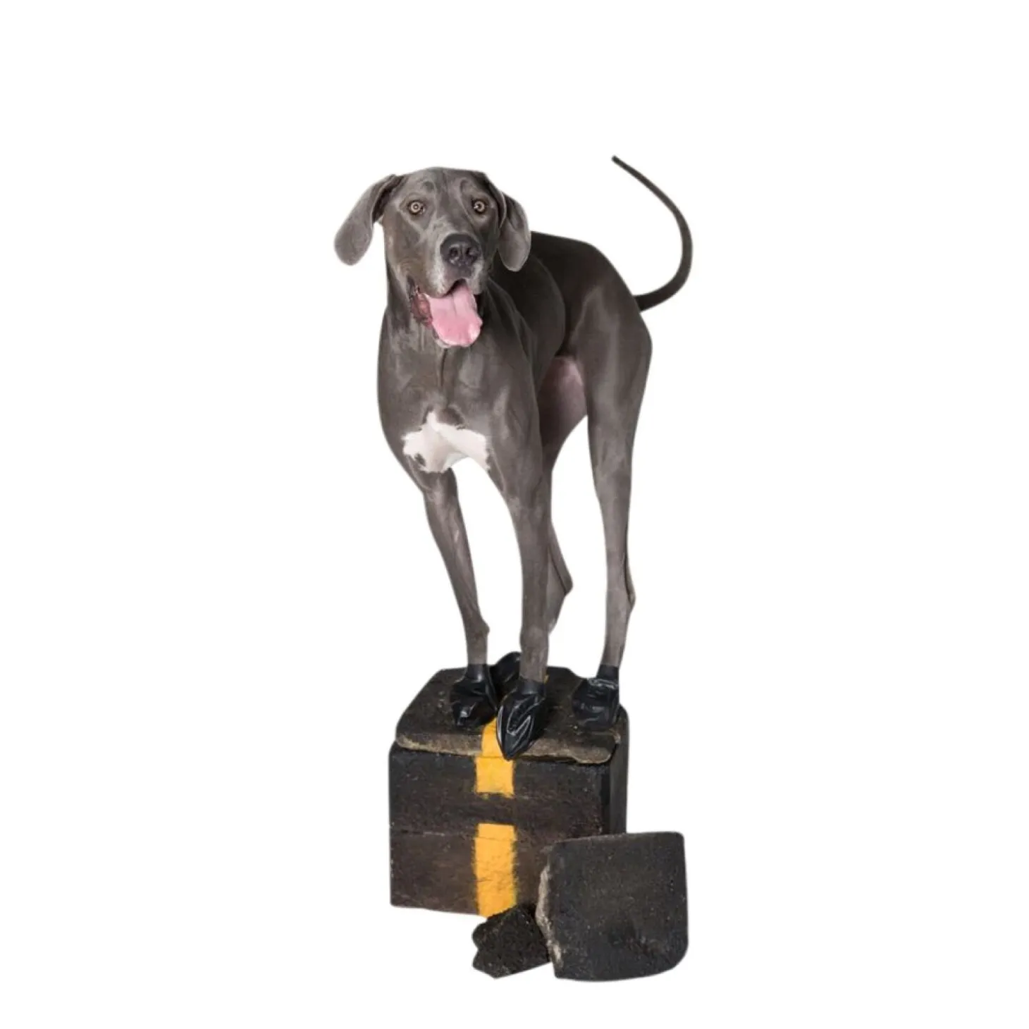 Natural Rubber Waterproof Dog Boots, M
