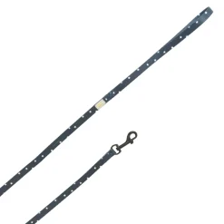 Navy Leash with White Stars for Small Dogs