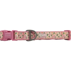 Neoprene Collar for Dogs, Flower Field