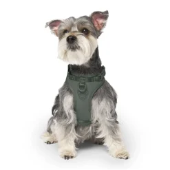 Neoprene Harness with Poop Bag Dispenser for Dogs