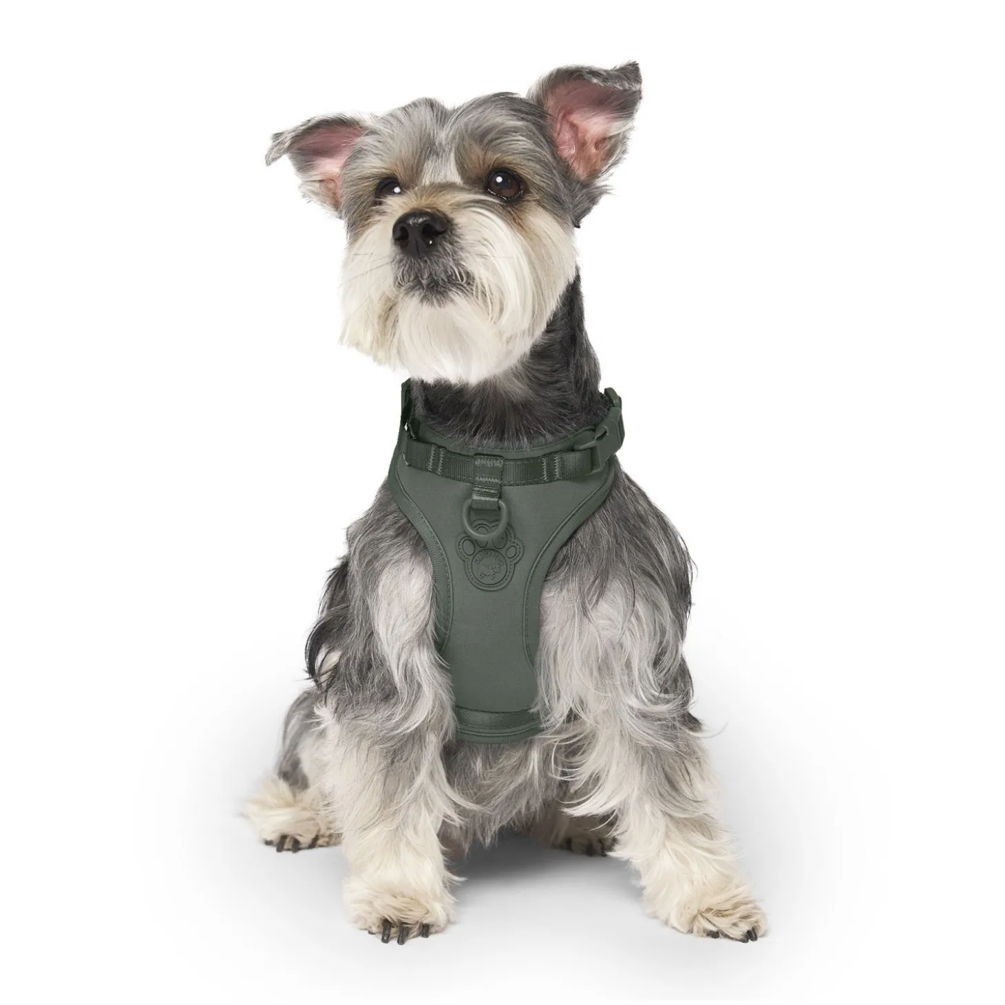 Neoprene Harness with Poop Bag Dispenser for Dogs