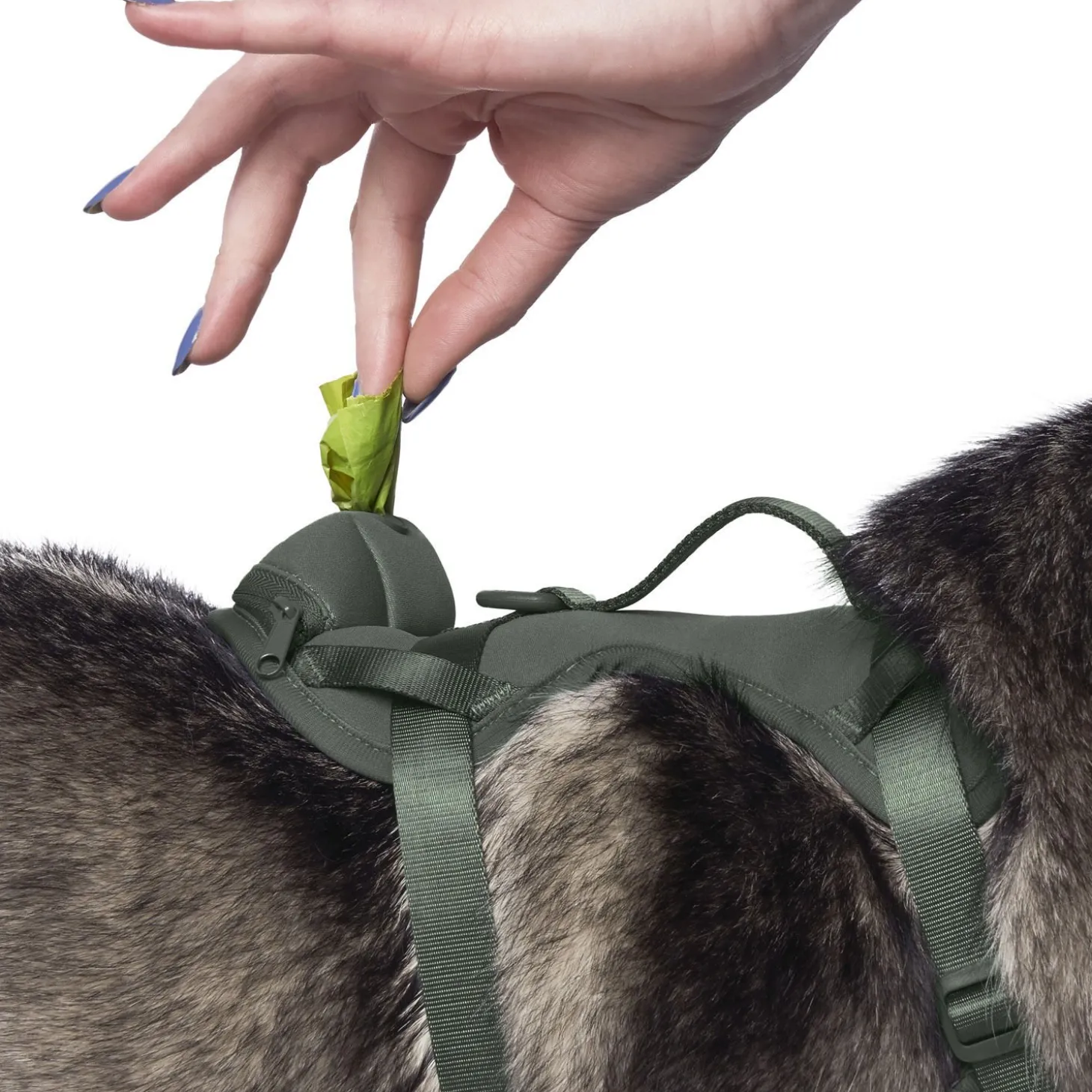 Neoprene Harness with Poop Bag Dispenser for Dogs