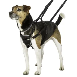 No Pull Harness for Dogs
