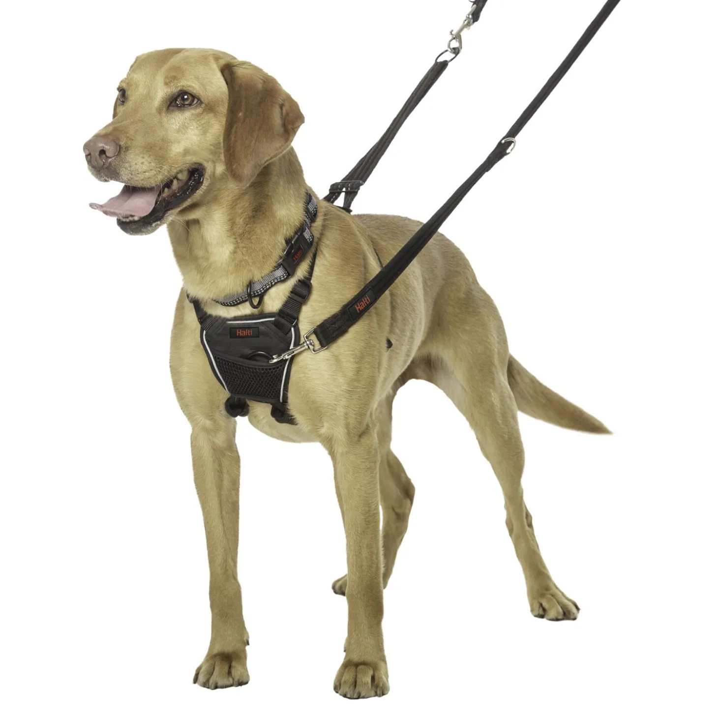 No Pull harness for dogs