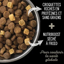 Northern Lakes Dry Food for Dogs
