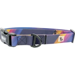 Nostalgia Silicone Dog Collar