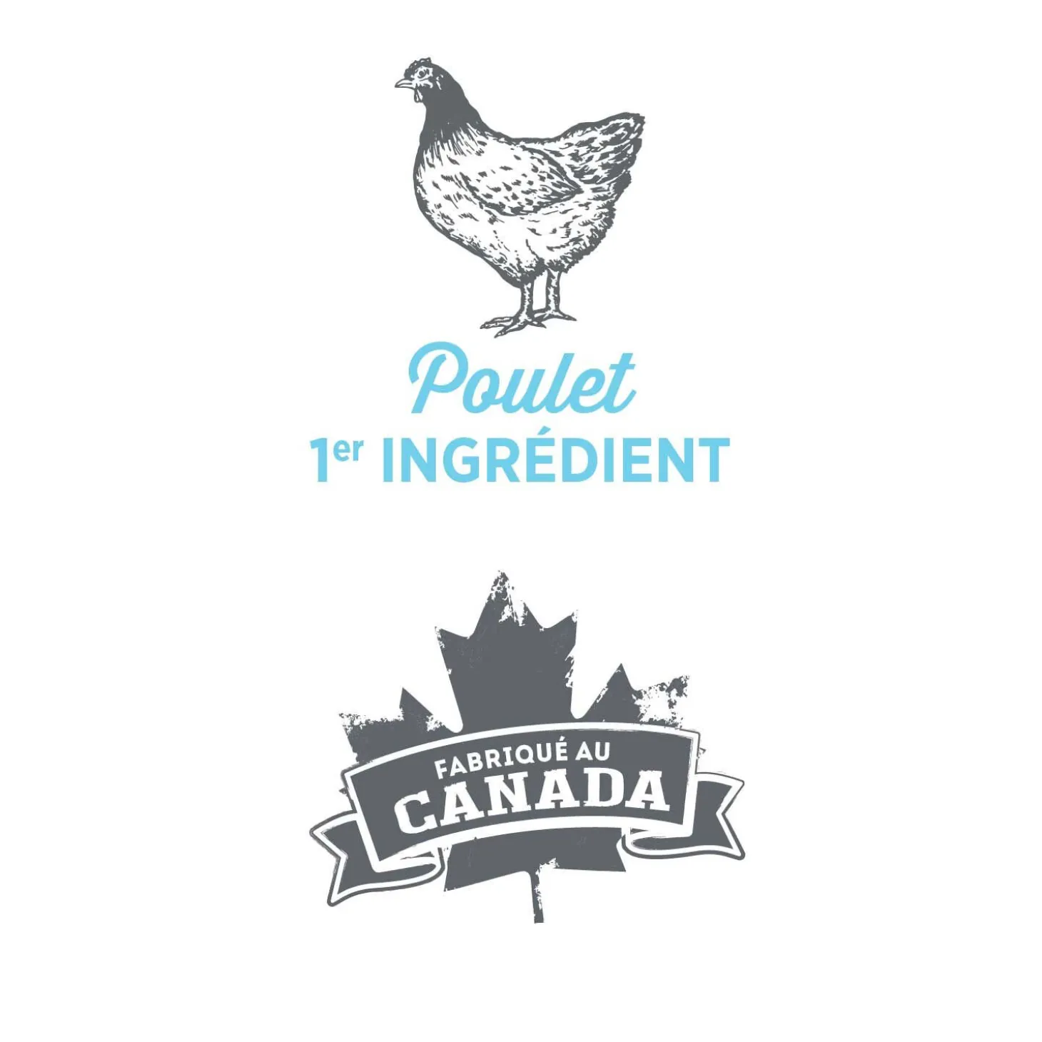 Nutrience Care Calm & Comfort Pâté for Dogs - Fresh Chicken Recipe - 369 g (13 oz)