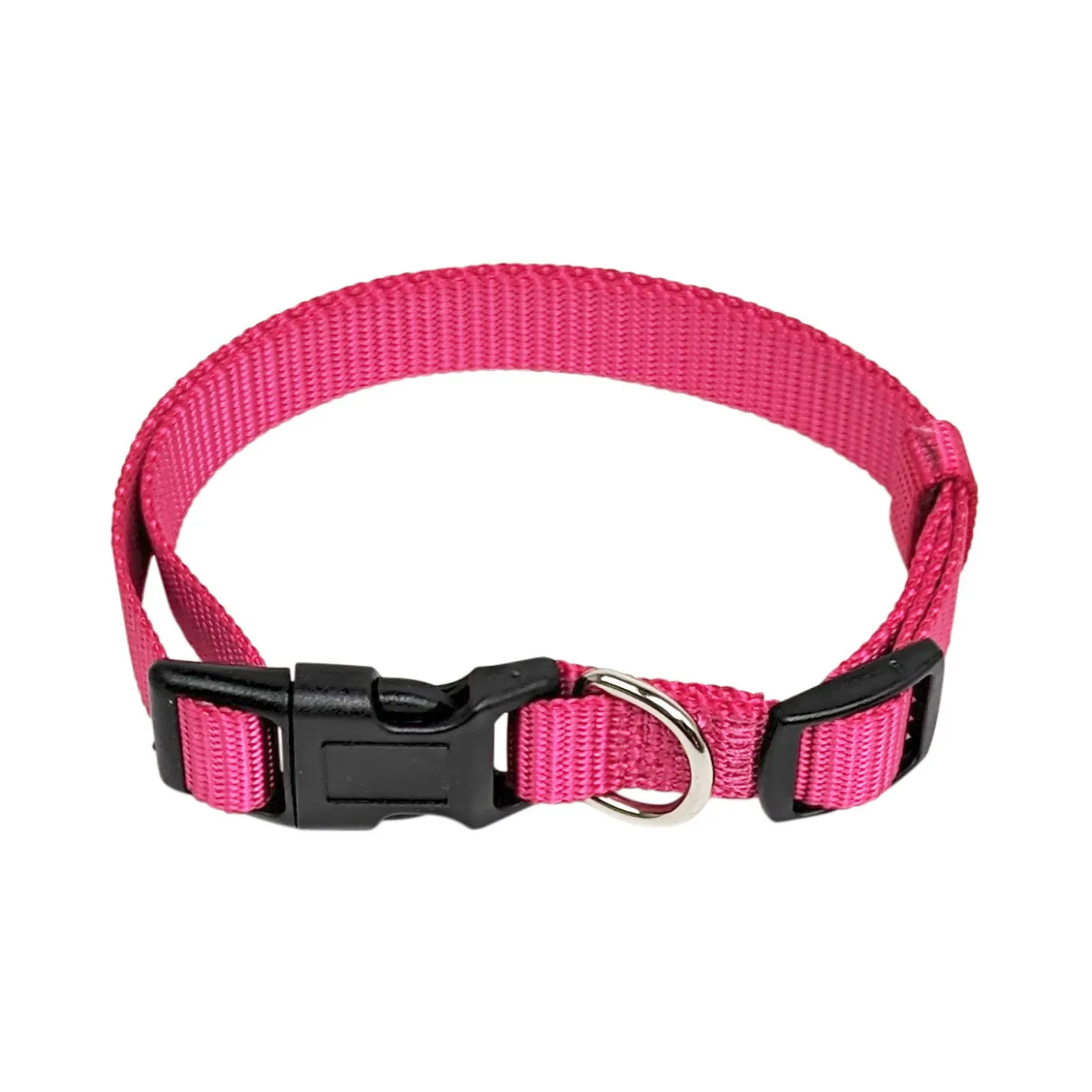 Nylon Collar for Dogs