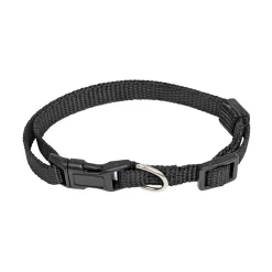 Nylon Collar for Dogs