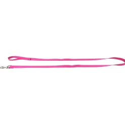 Nylon Leash for Dogs