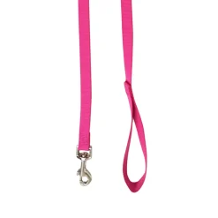 Nylon Leash for Dogs