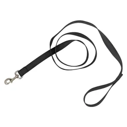 Nylon Leash for Dogs
