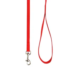 Nylon Leash for Dogs