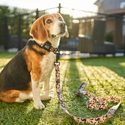 Oasis Silicone Dog Leash