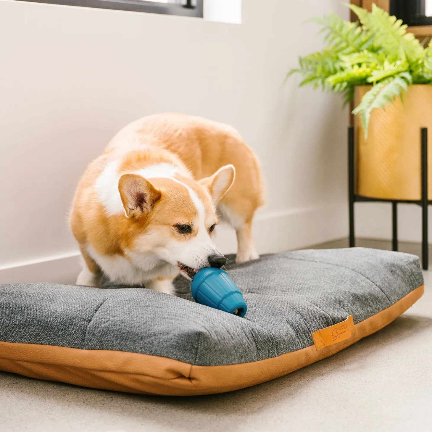 OBEE! Stuff Toy for Dogs