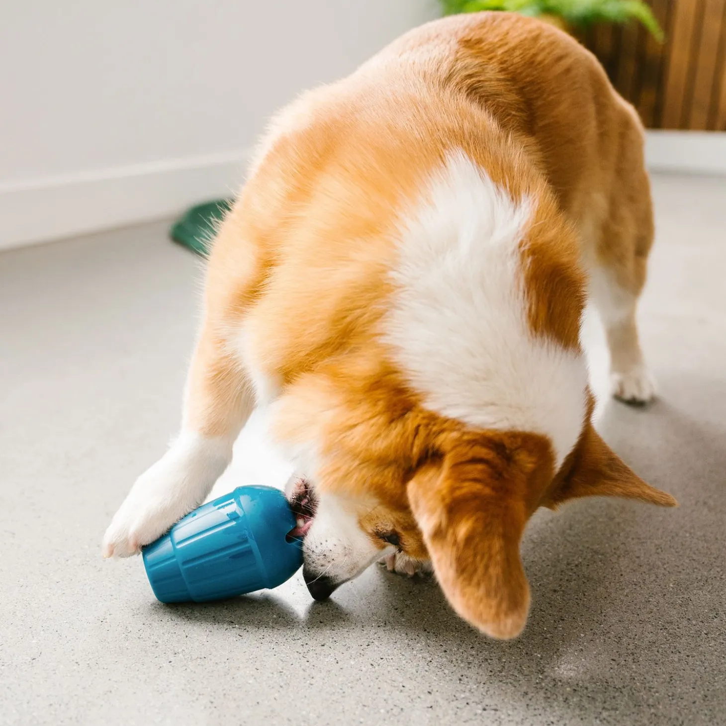 OBEE! Stuff Toy for Dogs