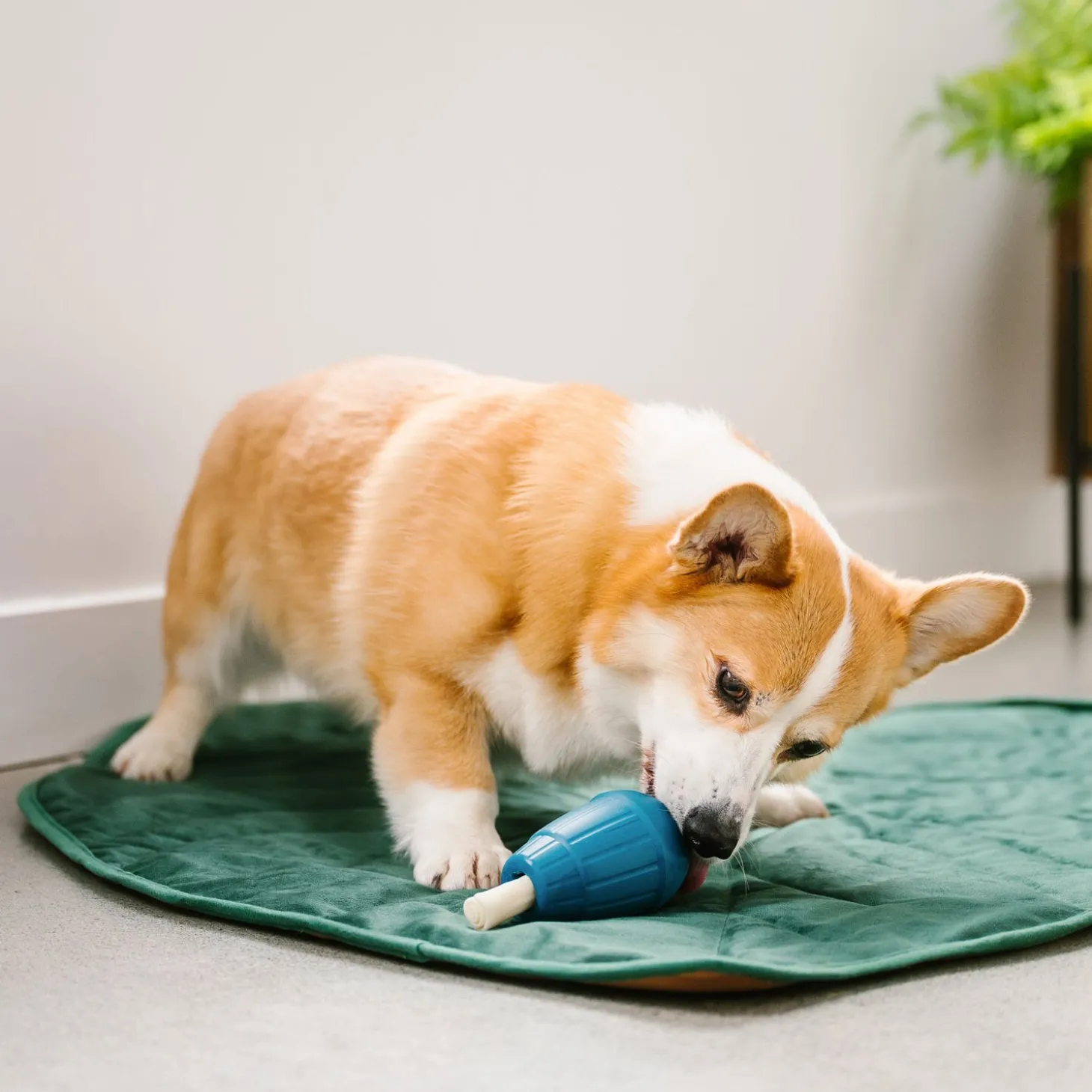 OBEE! Stuff Toy for Dogs