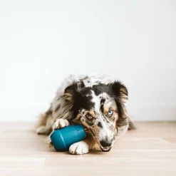 OBEE! Stuff Toy for Dogs